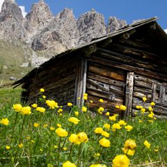 Holzhütte in alpiner Landschaft als Symbol für nachhaltigen Rohstoff Holz